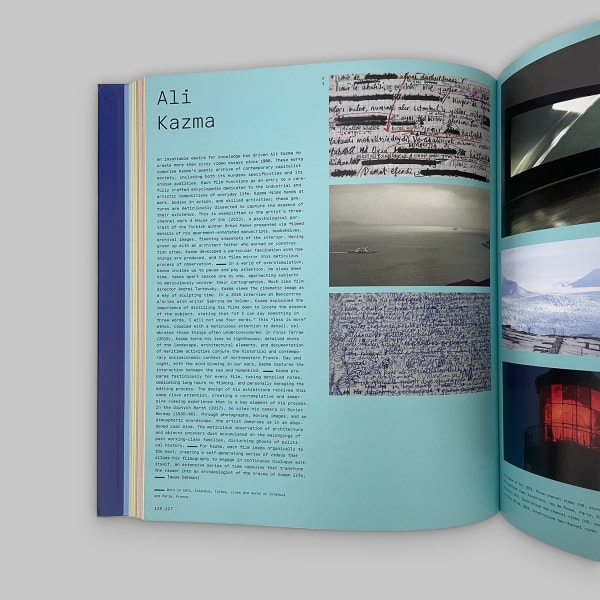 Vitamin V: Video and the Moving Image in Contemporary Art ALI KAZMA, Taous Dahmani