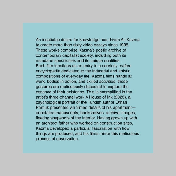 Vitamin V: Video and the Moving Image in Contemporary Art ALI KAZMA, Taous Dahmani