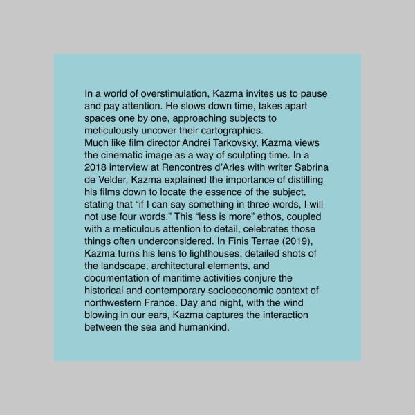 Vitamin V: Video and the Moving Image in Contemporary Art ALI KAZMA, Taous Dahmani