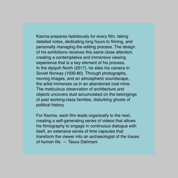 Vitamin V: Video and the Moving Image in Contemporary Art ALI KAZMA, Taous Dahmani