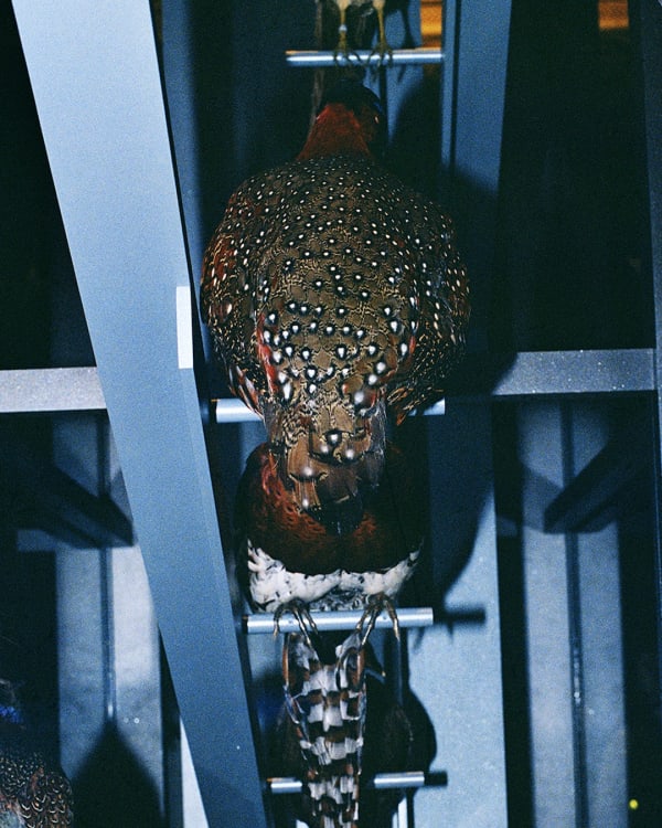 DANIELA ÂNGELO Untitled, 2023 Inkjet print on paper 142 x 122 cm Ed. 2 + 1 AP