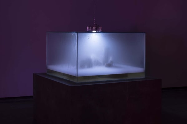 Karlos Gil Timefall (Anarres) 2023 Accelerated aging environment, bronze, steel, dust, plastic pipes, timer, water, steam machine, rhizopus and LED light