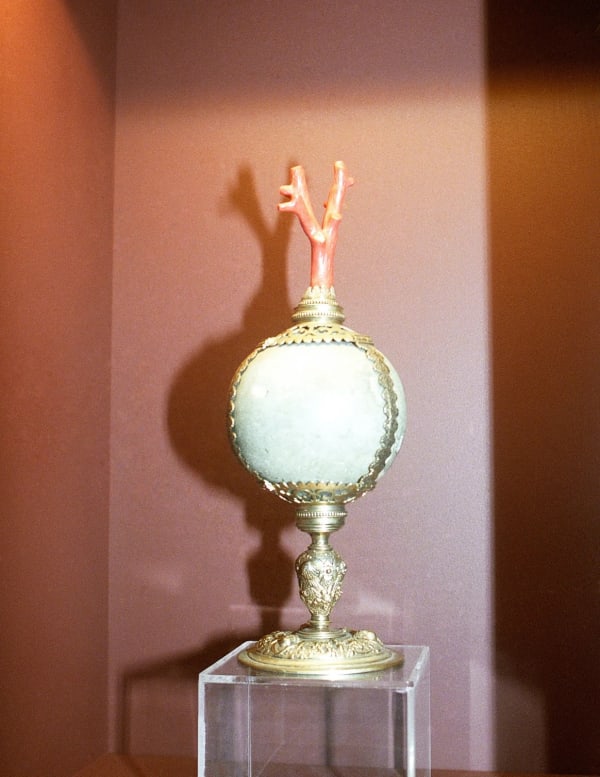 Galeria Francisco Fino - Inv. 403, Daniela Ângelo