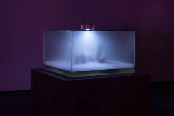 Installation view at Timefall, CA2M, Madrid, 2023