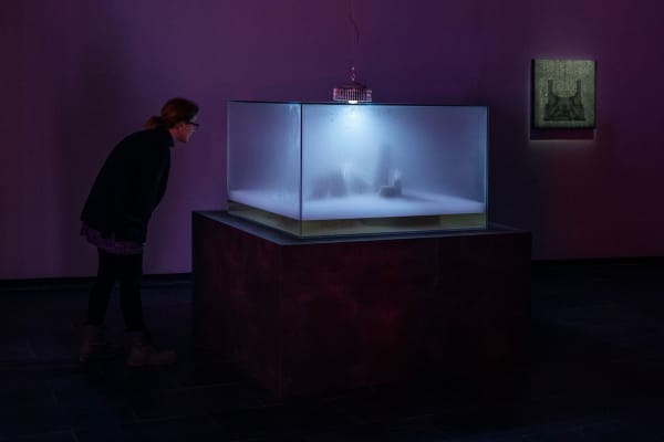 Installation view at Timefall, CA2M, Madrid, 2023