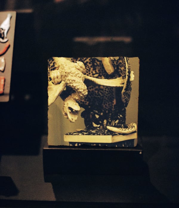 Daniela Ângelo, Untitled, 2023