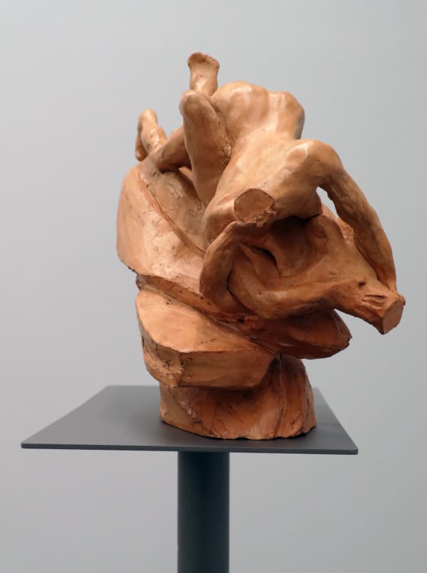 Vasco Araújo, Eros e Thanatos, 2024, Installation, Variable dimensions
