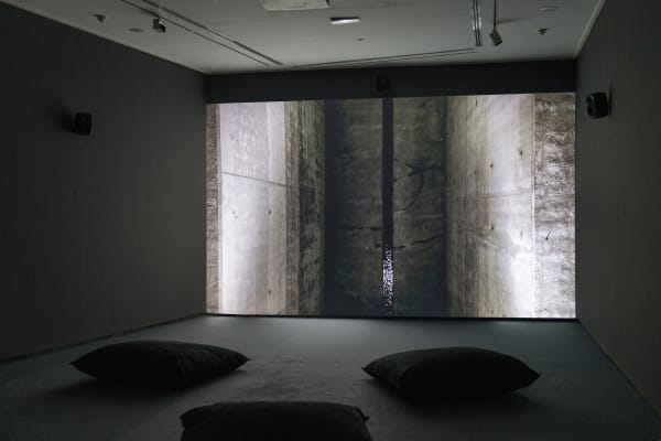 Galeria Francisco Fino - Timefall, Karlos Gil, CA2M