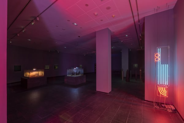 Galeria Francisco Fino - Timefall, Karlos Gil, CA2M