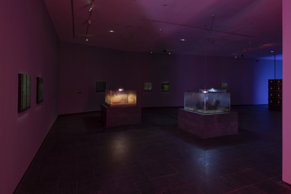 Galeria Francisco Fino - Timefall, Karlos Gil, CA2M