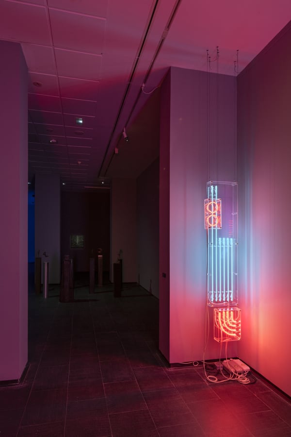 Galeria Francisco Fino - Timefall, Karlos Gil, CA2M
