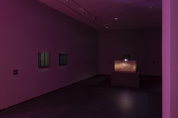 Galeria Francisco Fino - Timefall, Karlos Gil, CA2M