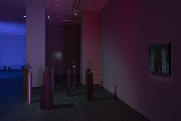 Galeria Francisco Fino - Timefall, Karlos Gil, CA2M