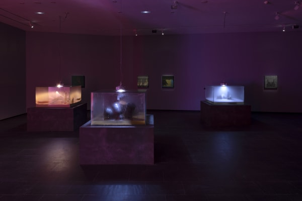 Galeria Francisco Fino - Timefall, Karlos Gil, CA2M