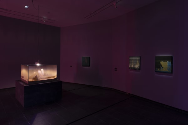 Galeria Francisco Fino - Timefall, Karlos Gil, CA2M