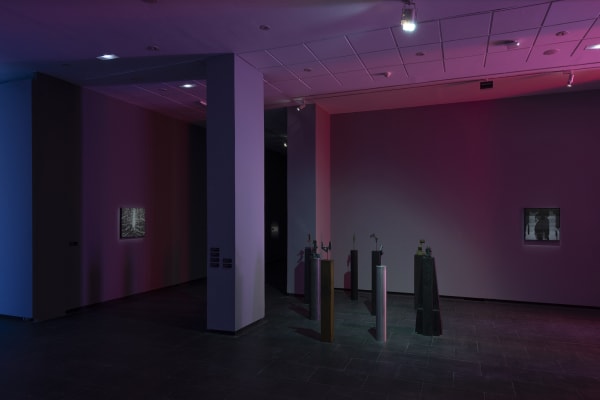 Galeria Francisco Fino - Timefall, Karlos Gil, CA2M