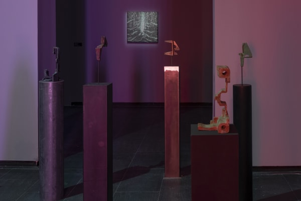 Galeria Francisco Fino - Timefall, Karlos Gil, CA2M