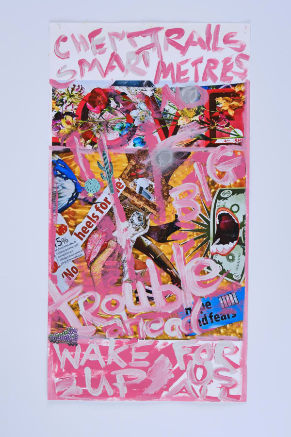 Chemtrails and Smartmeters, 2015