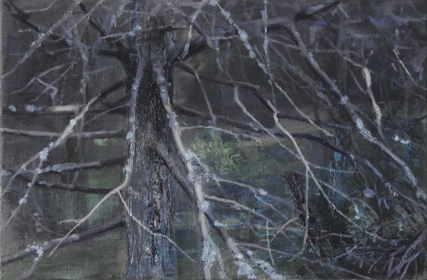 23 Jpg Escapeland Kosmos Cosmos 25 X 38 Cm