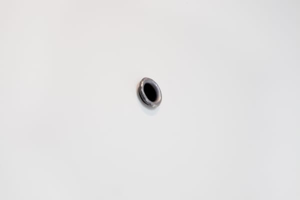 Dan Wolgers | I olivlunden / In the Olive Grove