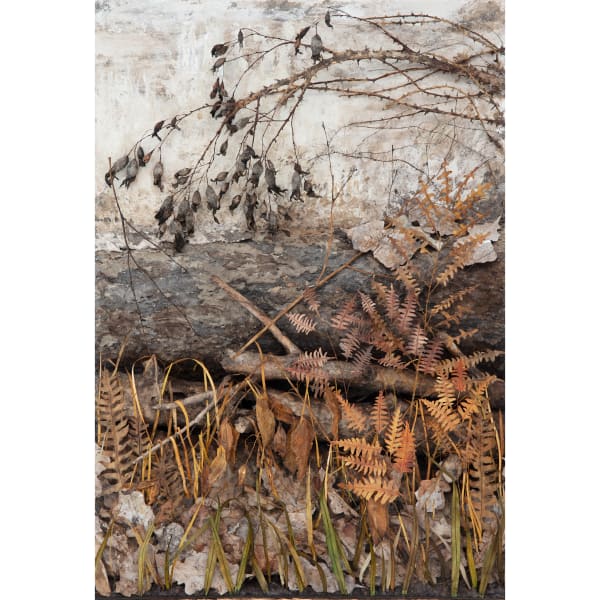 Johanna Karlsson | Naturens anatomi / Anatomy of Nature