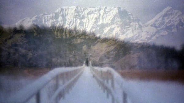 Petra Lindholm at Turku Art Museum