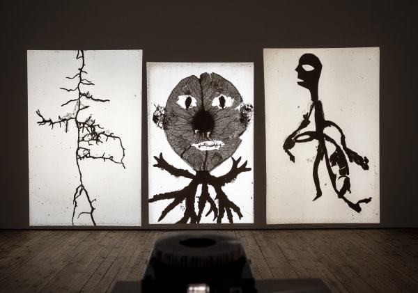 Installation view, Uppsala Konstmuseum, 2021 (Photo: Pär Fredin)