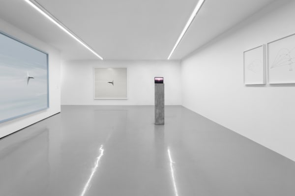 Installation view at the Mart Museum | Galleria Civica di Trento Photo by Fernando Guerra