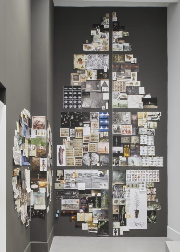 Yuval Yairi, Cyphers and Cypresses, 4 December - 18 January 2020 © Guillaume Python