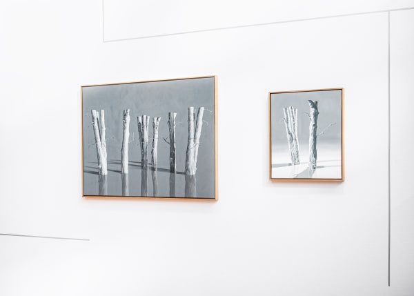 Art Paris 2025, Solo Booth Fabienne Levy, Photo: Mathilde Lesueur