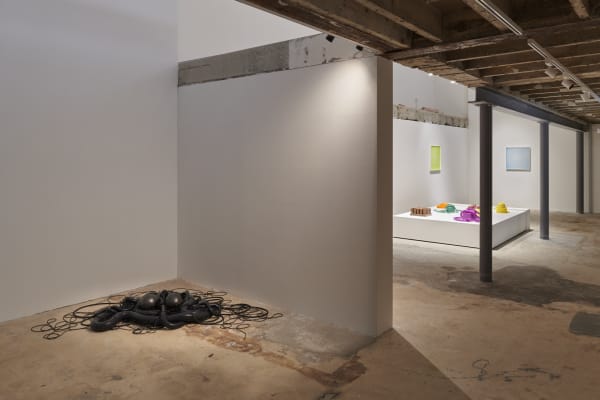 I feed my dreams slime at night Fabienne Levy Gallery Lausanne 23rd March 2023 to 13th May 2023 © Guillaume Python