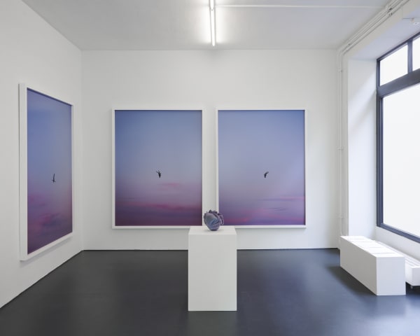 Transformative Boundaries Fabienne Levy Gallery Geneva November 9th 2023 - January 12th 2024 @giliancardaci