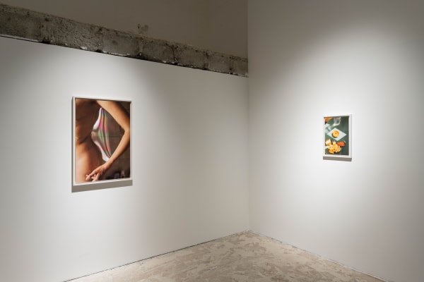 I wish I called you sooner Fabienne Levy Gallery Lausanne 1st February - 14th March 2024 ©gianlosinger