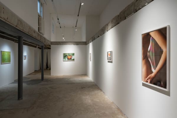 I wish I called you sooner Fabienne Levy Gallery Lausanne 1st February - 14th March 2024 ©gianlosinger