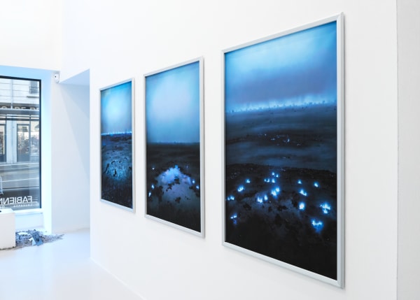 Elsa Wagnières, Là où rien ne devait pousser, Fabienne Levy Lausanne, 2025 © Léa Isoard