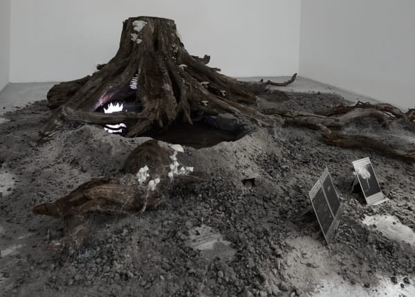 Elsa Wagnières, Là où rien ne devait pousser, Fabienne Levy Lausanne, 2025 © Léa Isoard