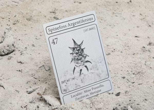 Elsa Wagnières, Là où rien ne devait pousser, Fabienne Levy Lausanne, 2025 © Léa Isoard