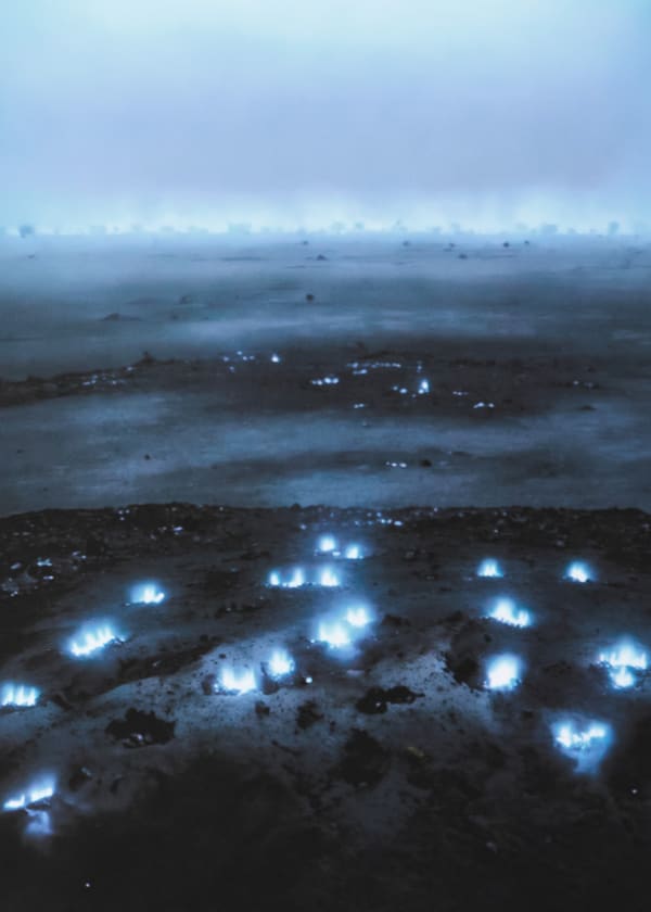 Artistes femmes: la révolution passe par Lausanne, Elsa Wagnières en immersion chez Fabienne Levy