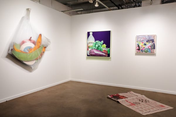Lucia Hierro, Solo Show - Dallas Art Fair - April 10-13 2025 Photography credit: Chloe Barney / Supreme Event Service