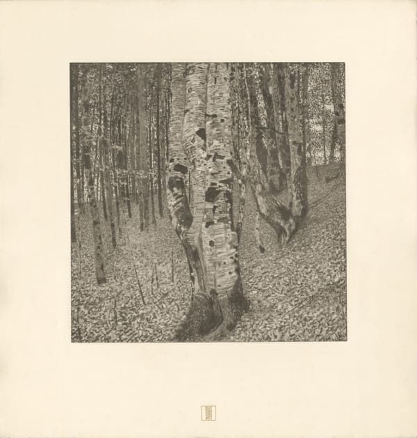 Gustav Klimt, Beech Forest II, 1908-1914