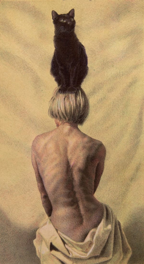 Zane York, Cat with Woman