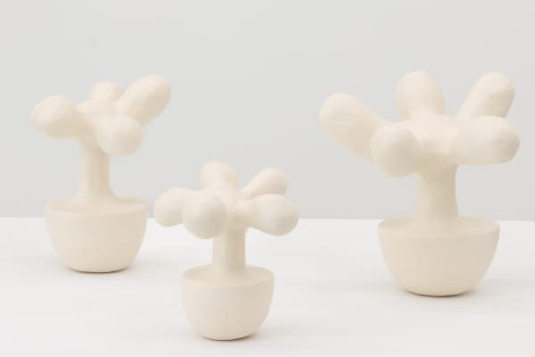 Plant No 18 Plant No 17 Plant No 19 Left To Right Re Jin Lee