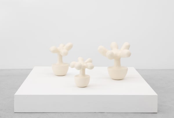 Plant Series Plant No 18 17 19 Left To Right Re Jin Lee