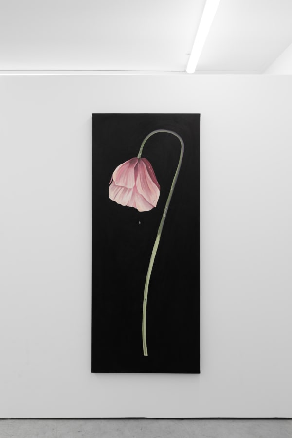 2025 07 15 Cas Friese Shoot 200