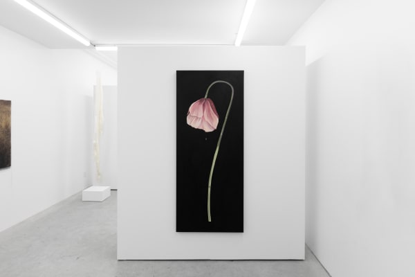 2025 07 15 Cas Friese Shoot 203