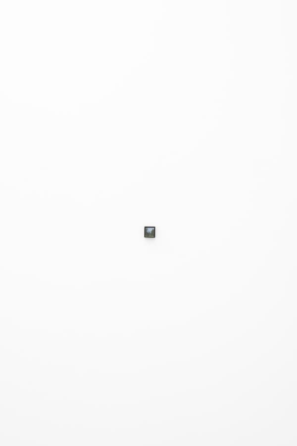 2025 08 18 Cas Friese Shoot 213