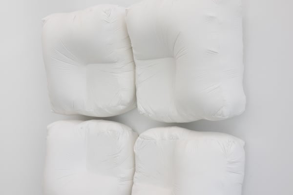 2025 10 07 Cas Friese Shoot 017