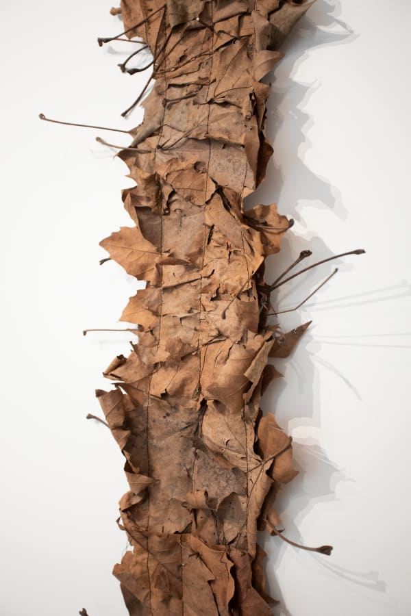 Follia 2024, Galerie Anne-Laure Buffard