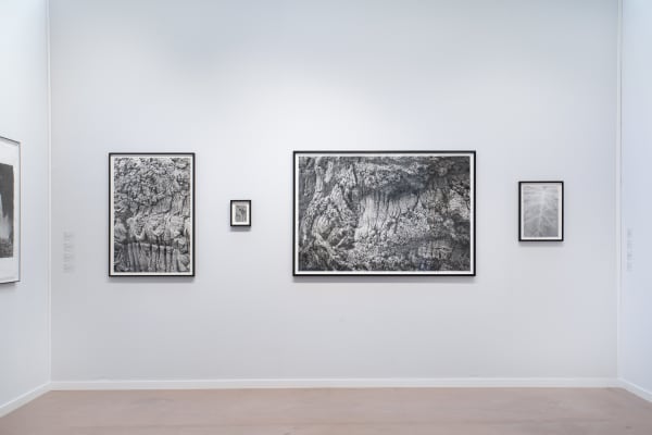 Parisphoto25 Alb01 06