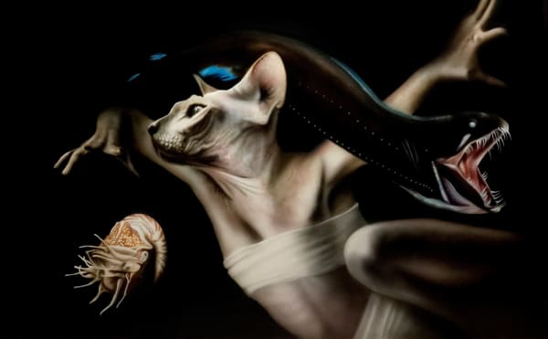 Franc Kaiser Pelagica Acrylic on Board 25 5/8x47 1/4 in